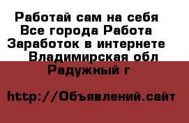 Работай сам на себя - Все города Работа » Заработок в интернете   . Владимирская обл.,Радужный г.